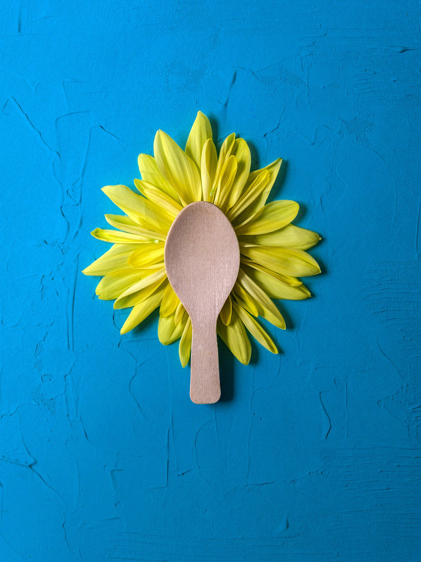 Recyclable Wooden Spoon